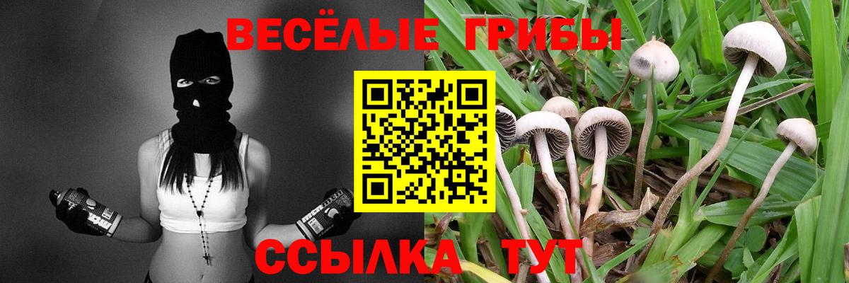 Псилоцибиновые грибы мухоморы Арсеньев