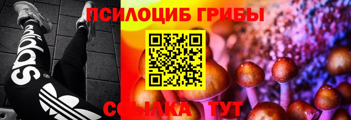 Арсеньев  Галлюциногенные грибы Psilocybine cubensis  Вход с VPN 